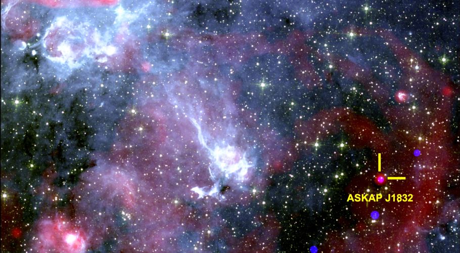 An image of the sky showing the region around ASKAP J1832-0911. X-rays from NASA’sChandra X-ray Observatory, radio data from the SouthAfrican MeerKAT radio telescope, and infrared data fromNASA’s Spitzer Space Telescope. Credits: Ziteng (Andy) Wang, ICRAR.
