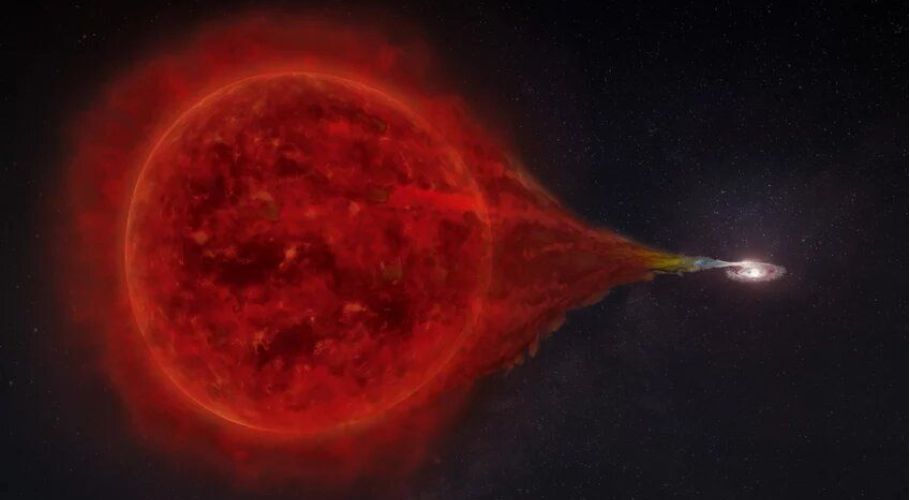 Artistic view of the nova RS Oph, composed of a white dwarf that accretes material from a red giant companion star.