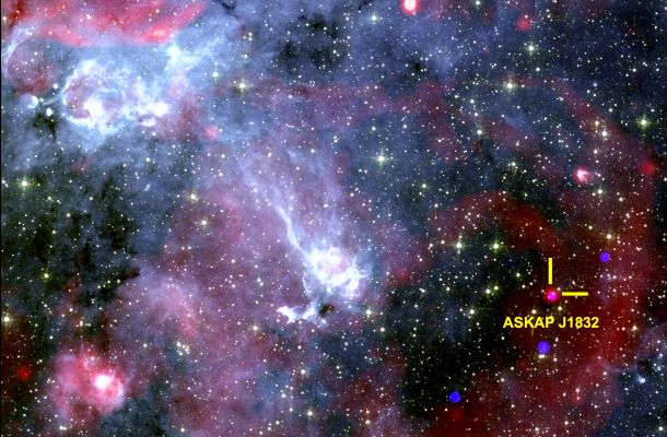 Imatge del cel que mostra la regió al voltant d’ASKAP J1832-0911. Raigs X de l’Observatori de raigs X Chandra de la NASA, dades de ràdio del radiotelescopi sud-africà MeerKAT i dades infraroiges del Telescopi Espacial Spitzer de la NASA. Crèdits: Ziteng (Andy) Wang, ICRAR.